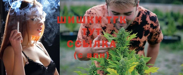 прущий лед Алексин