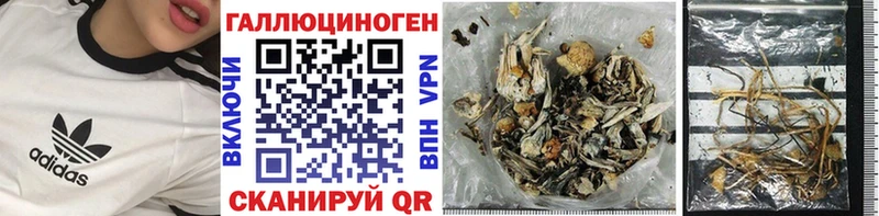 Галлюциногенные грибы MAGIC MUSHROOMS  как найти закладки  Саки 